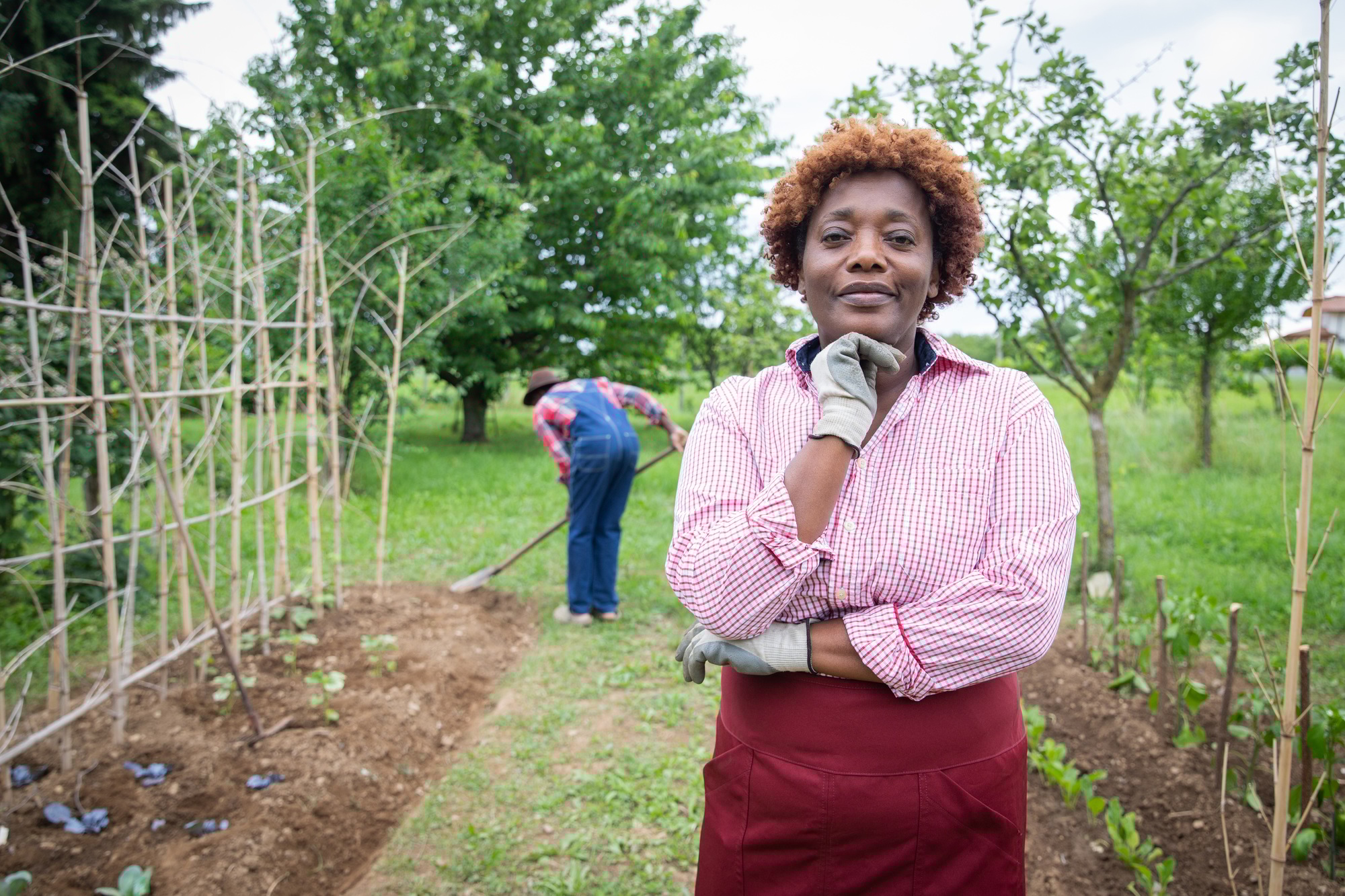 Peasant woman in her cultivated field, her husband digs the earth, small business entrepreneur